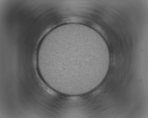 X0000073851130200609071600