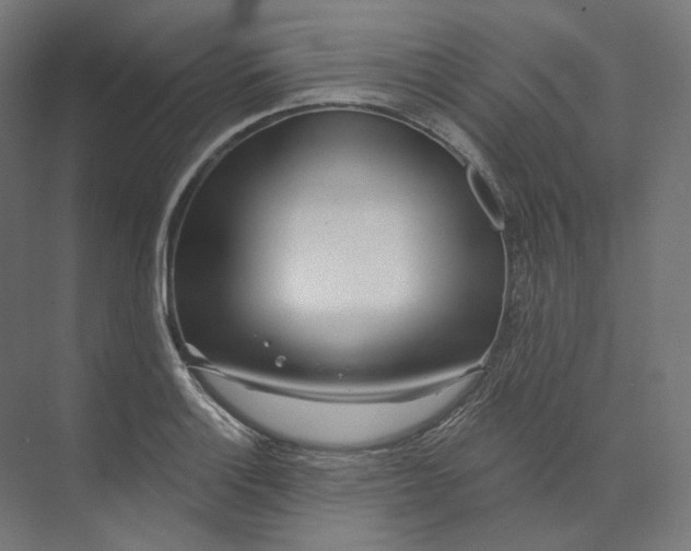 X0000073851132200609071600