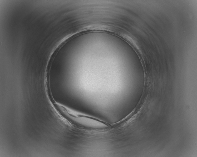 X0000073851133200609071600