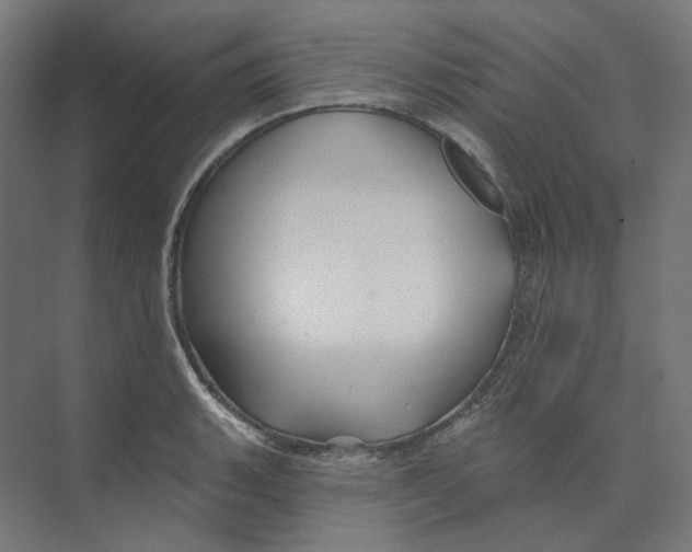 X0000073851135200609071600