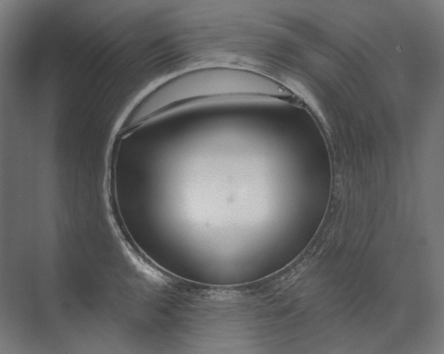 X0000073851136200609071600