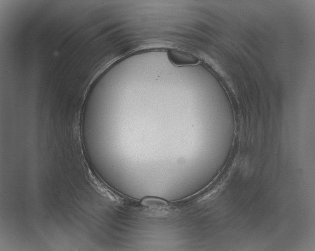 X0000073851137200609071600