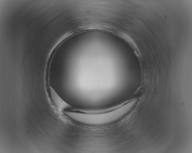 X0000073851138200609071600