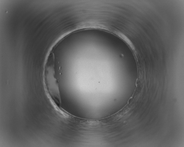 X0000073851144200609071600