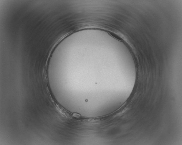 X0000073851145200609071600