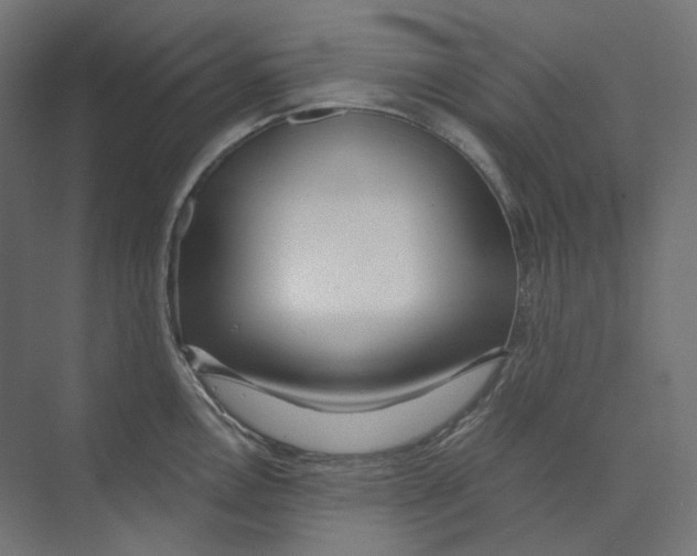 X0000073851146200609071600