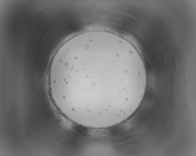 X0000073851150200609071600