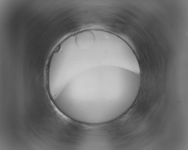 X0000073851151200609071600