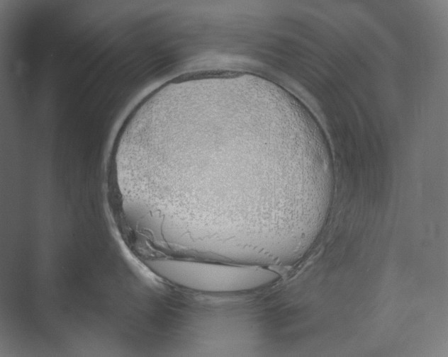 X0000073851152200609071600