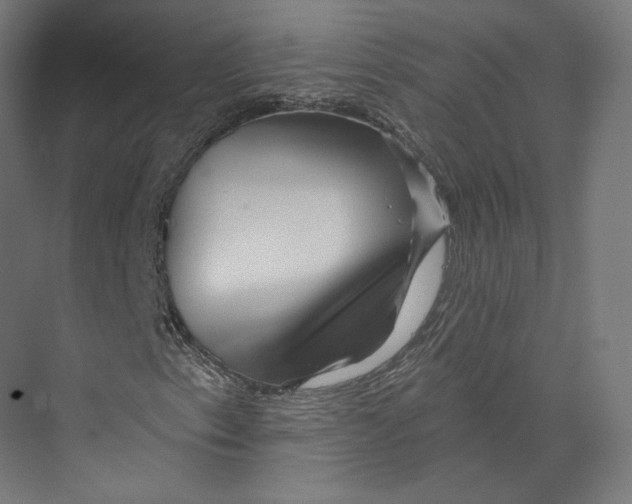 X0000073851153200609071559