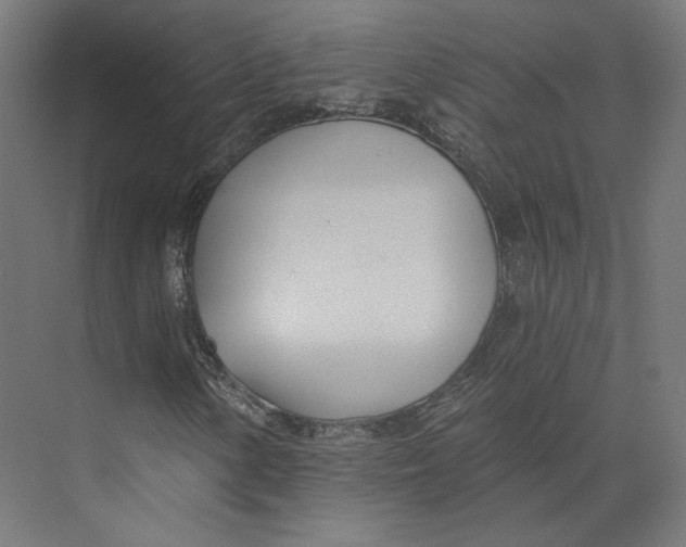 X0000073851154200609071559