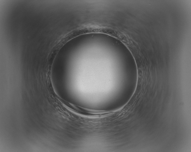 X0000073851157200609071559