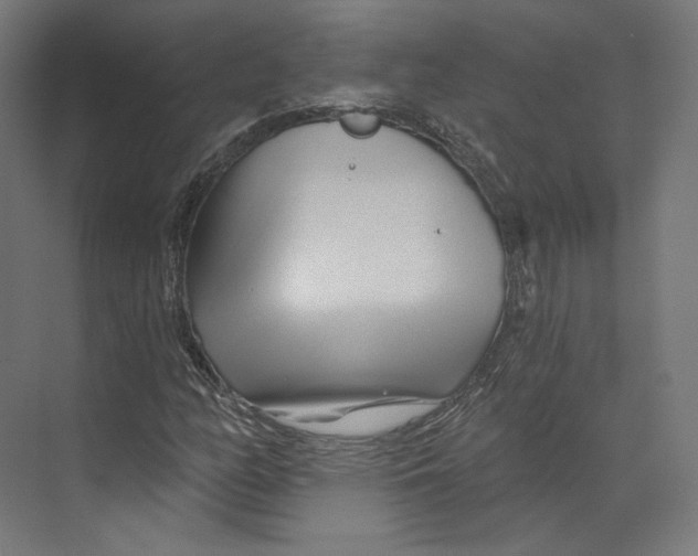 X0000073851158200609071559