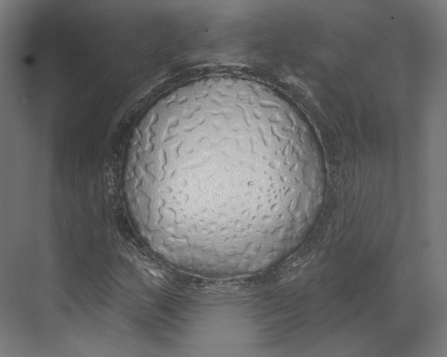 X0000073851159200609071559