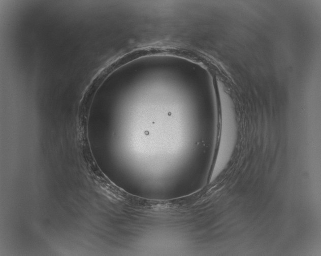 X0000073851160200609071559