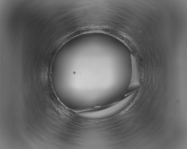 X0000073851161200609071559