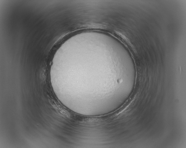 X0000073851163200609071559