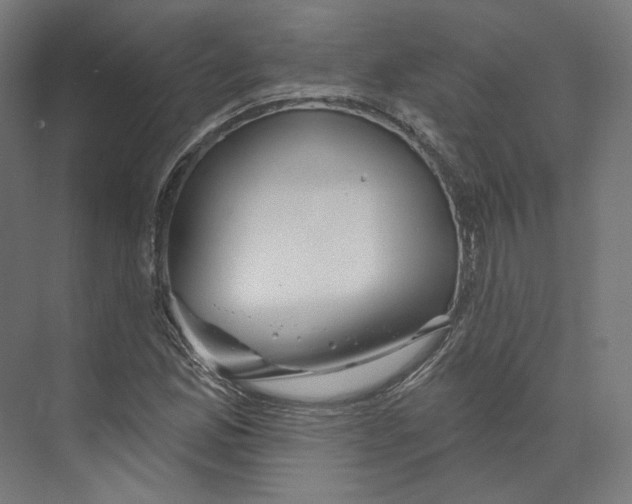 X0000073851165200609071559