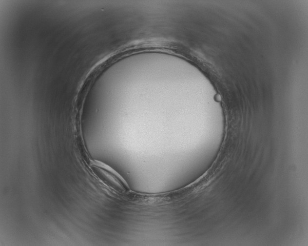 X0000073851166200609071559