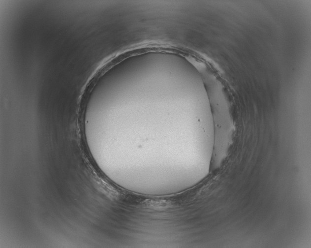 X0000073851168200609071559