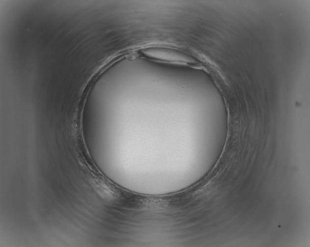 X0000073851170200609071559