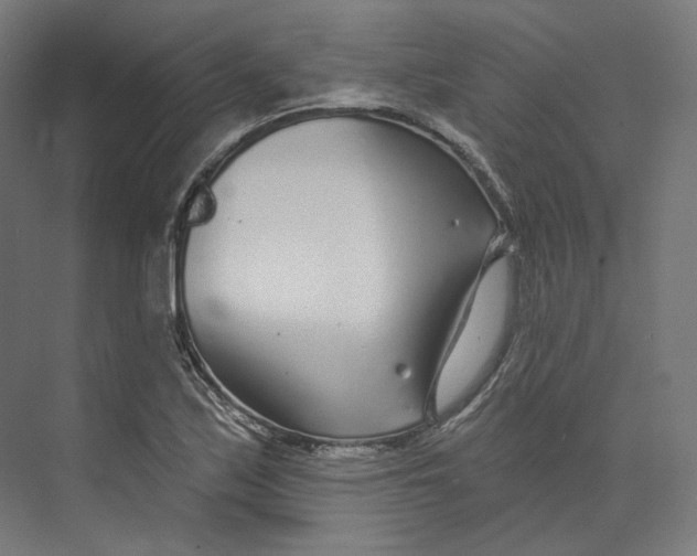 X0000073851171200609071559