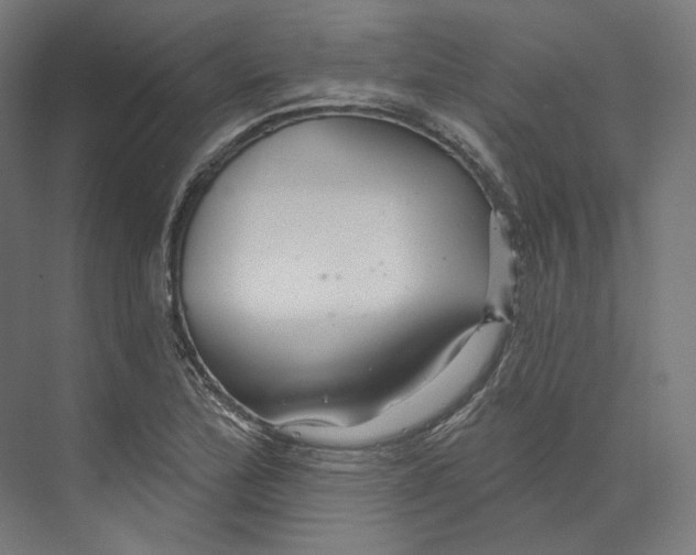 X0000073851172200609071559