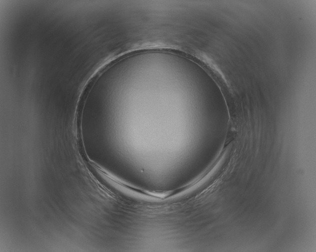 X0000073851173200609071559