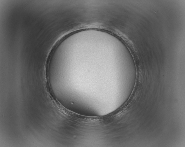 X0000073851174200609071559