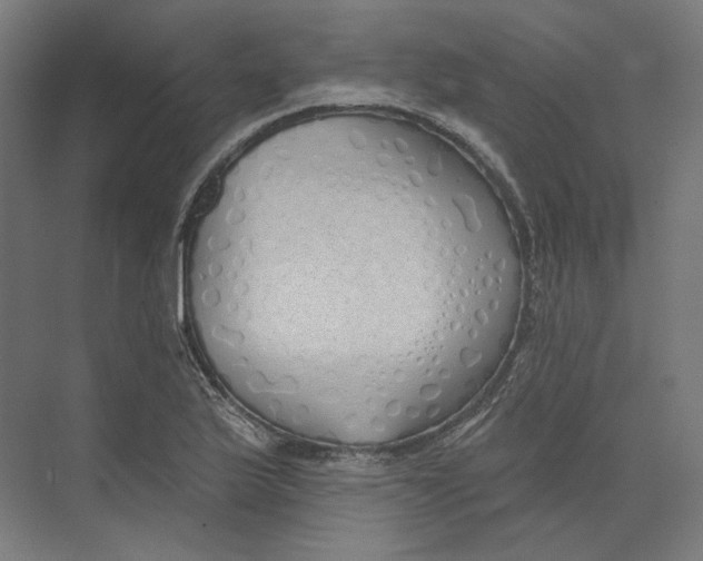 X0000073851175200609071559