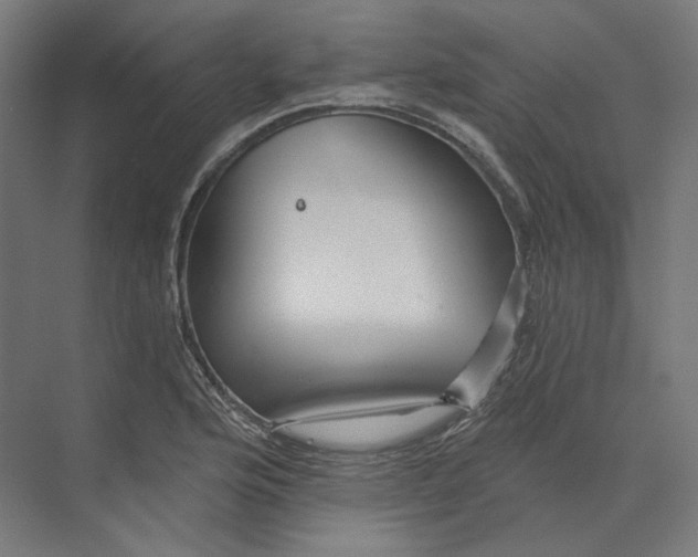 X0000073851176200609071559