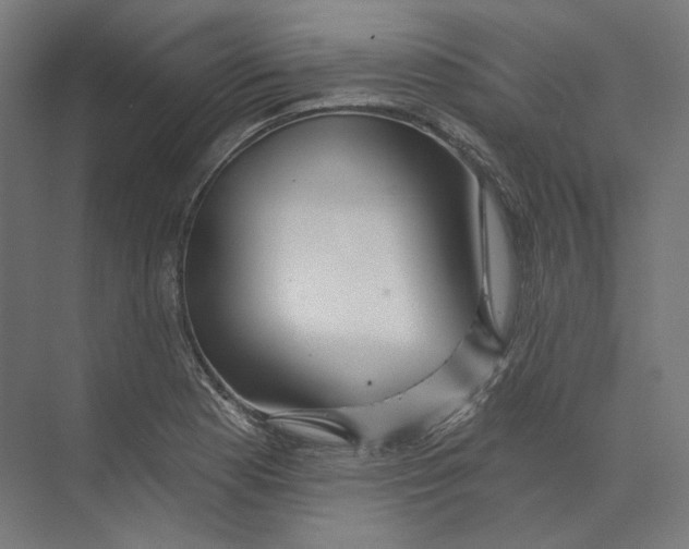 X0000073851177200609071559