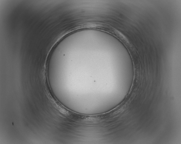 X0000073851178200609071559