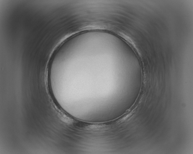 X0000073851179200609071559