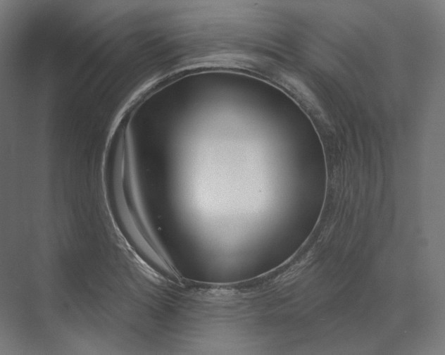 X0000073851180200609071559