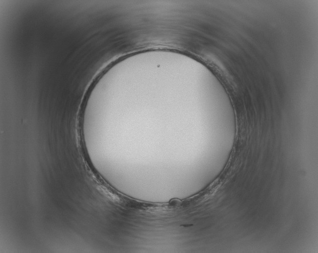 X0000073851182200609071559