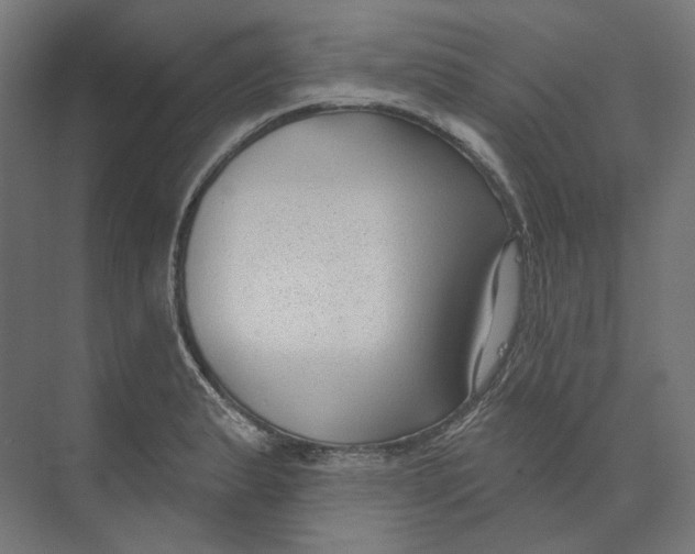 X0000073851183200609071559