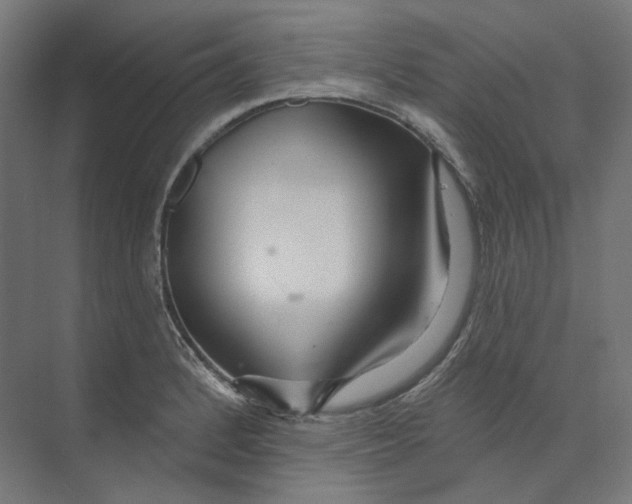 X0000073851184200609071559