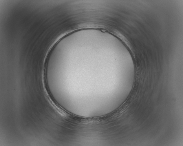 X0000073851187200609071559