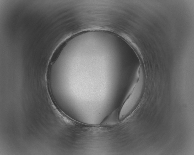 X0000073851189200609071559