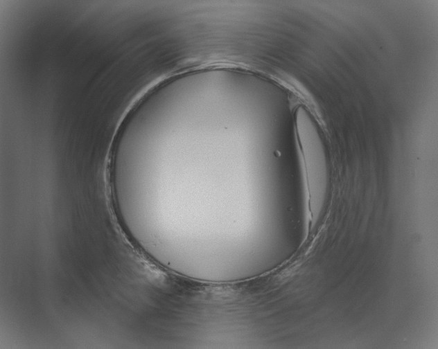 X0000073851190200609071559