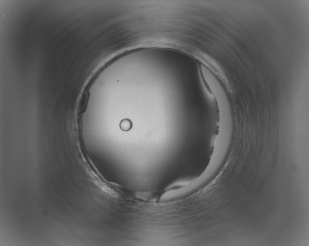 X0000073851192200609071559