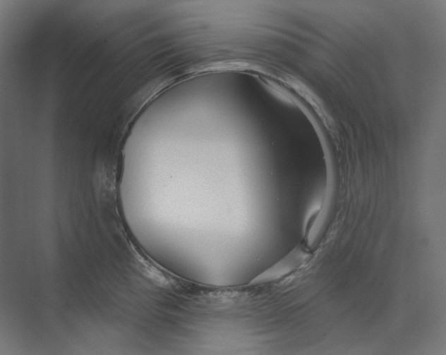 X0000073851193200609071559