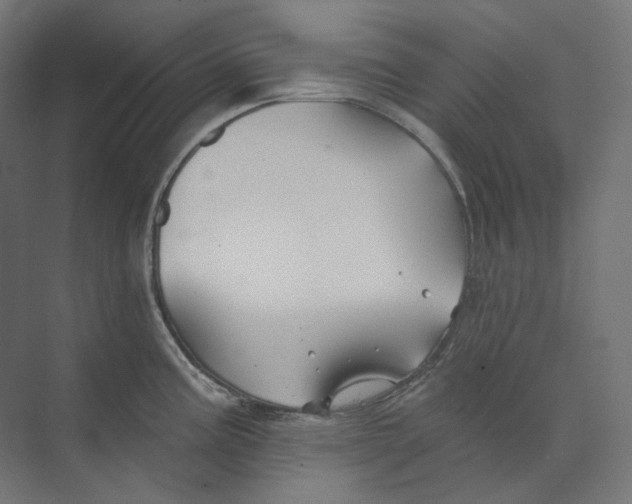 X0000073851195200609071559