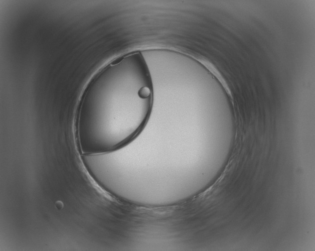 X0000073851197200609071559