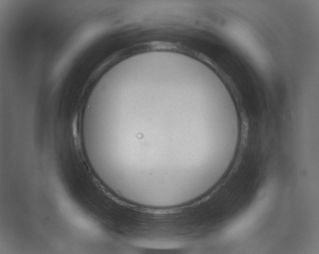 X0000073851198200609071559