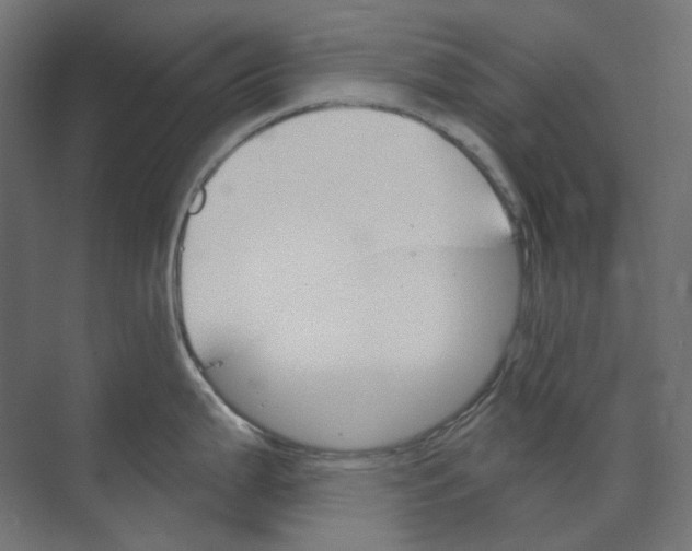 X0000073851199200609071559