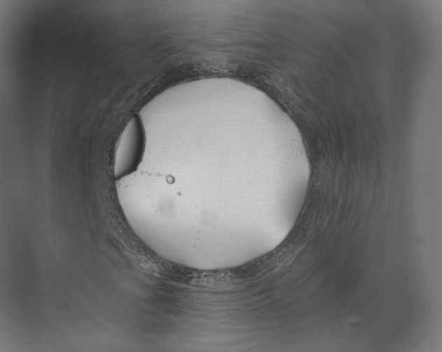 X0000073851201200609071558