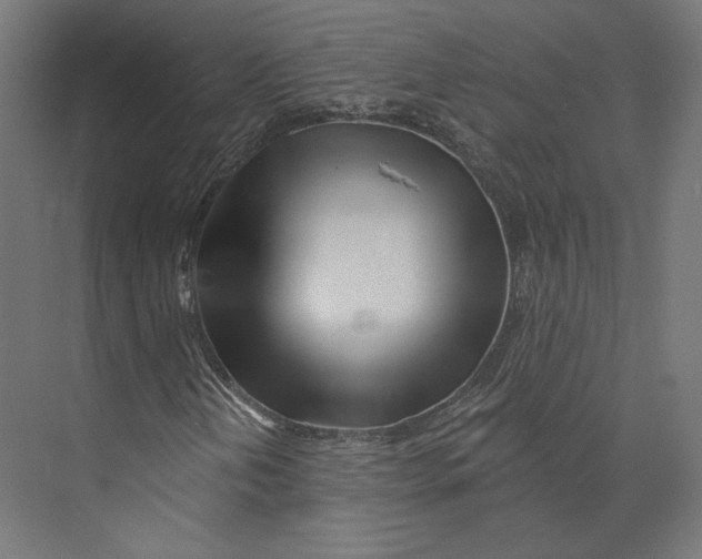 X0000073851202200609071558