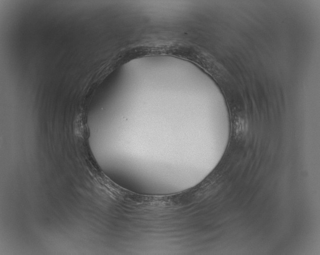 X0000073851204200609071558